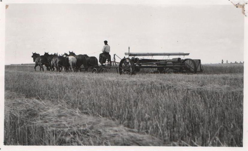 Fotos históricas de Lobería