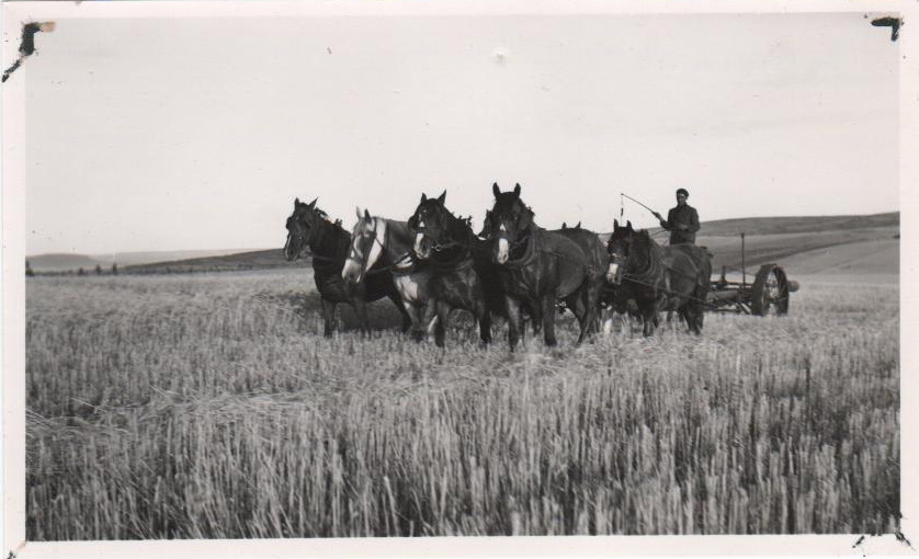 Fotos históricas de Lobería
