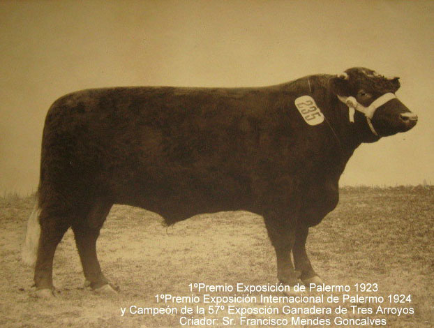 Fotos históricas de Lobería