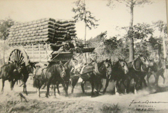 Fotos históricas de Lobería