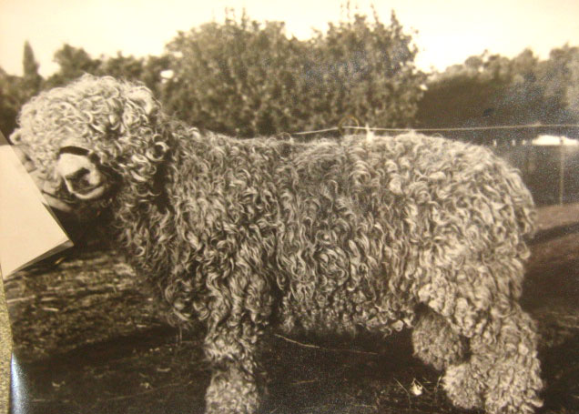 Fotos históricas de Lobería