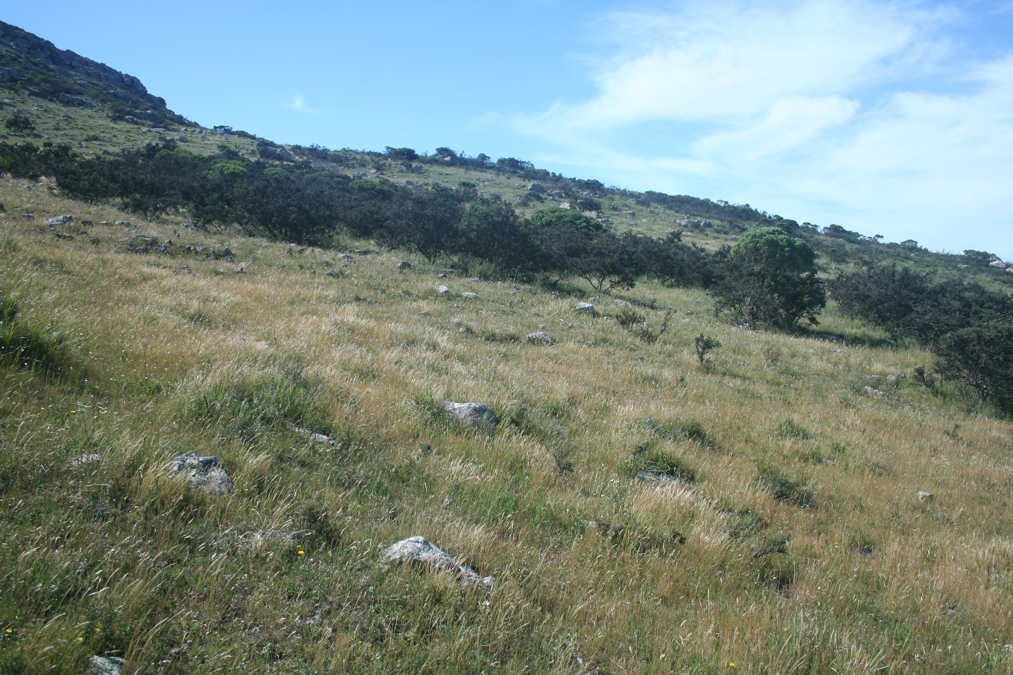 Sierras de Lobería