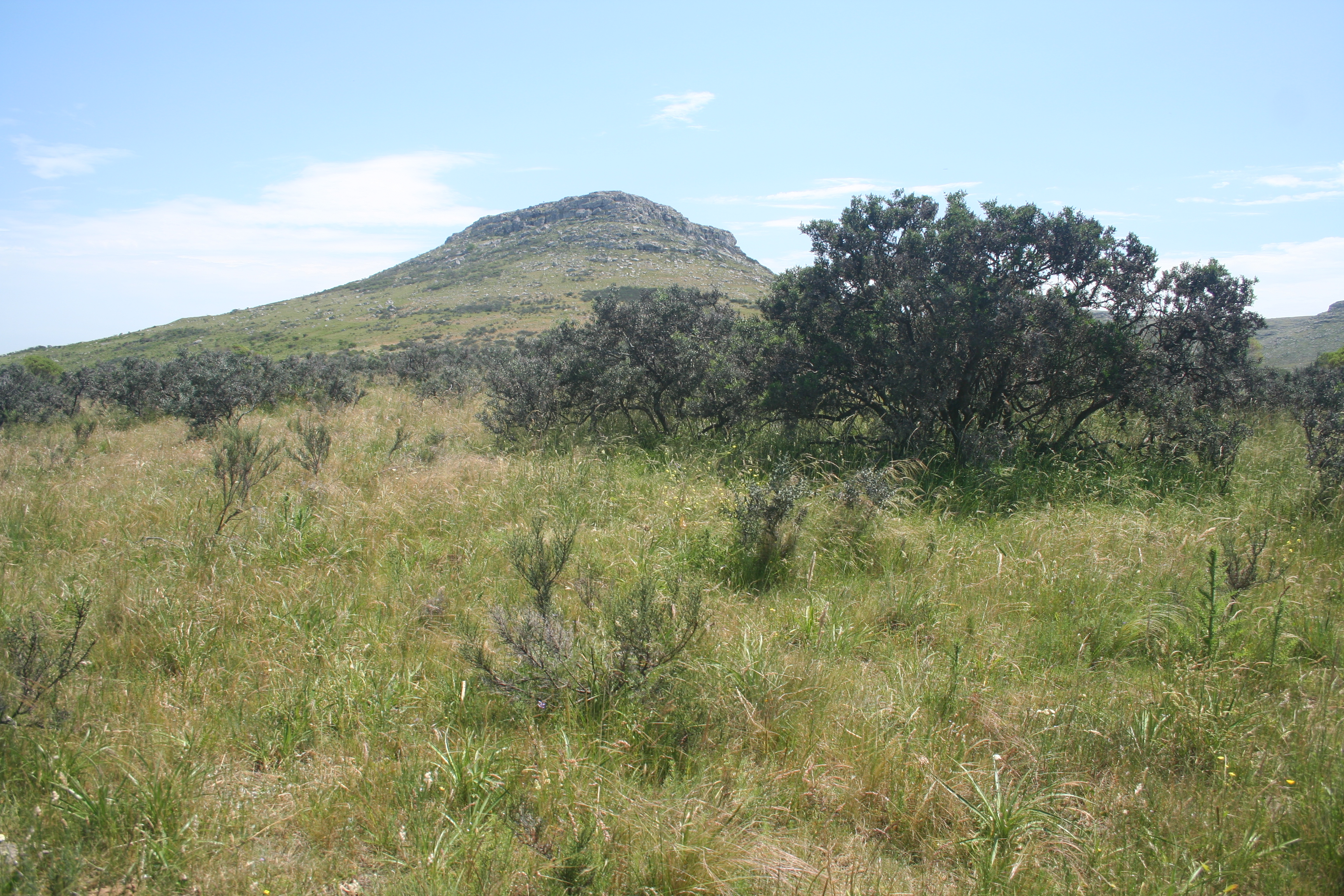 Sierras de Lobería