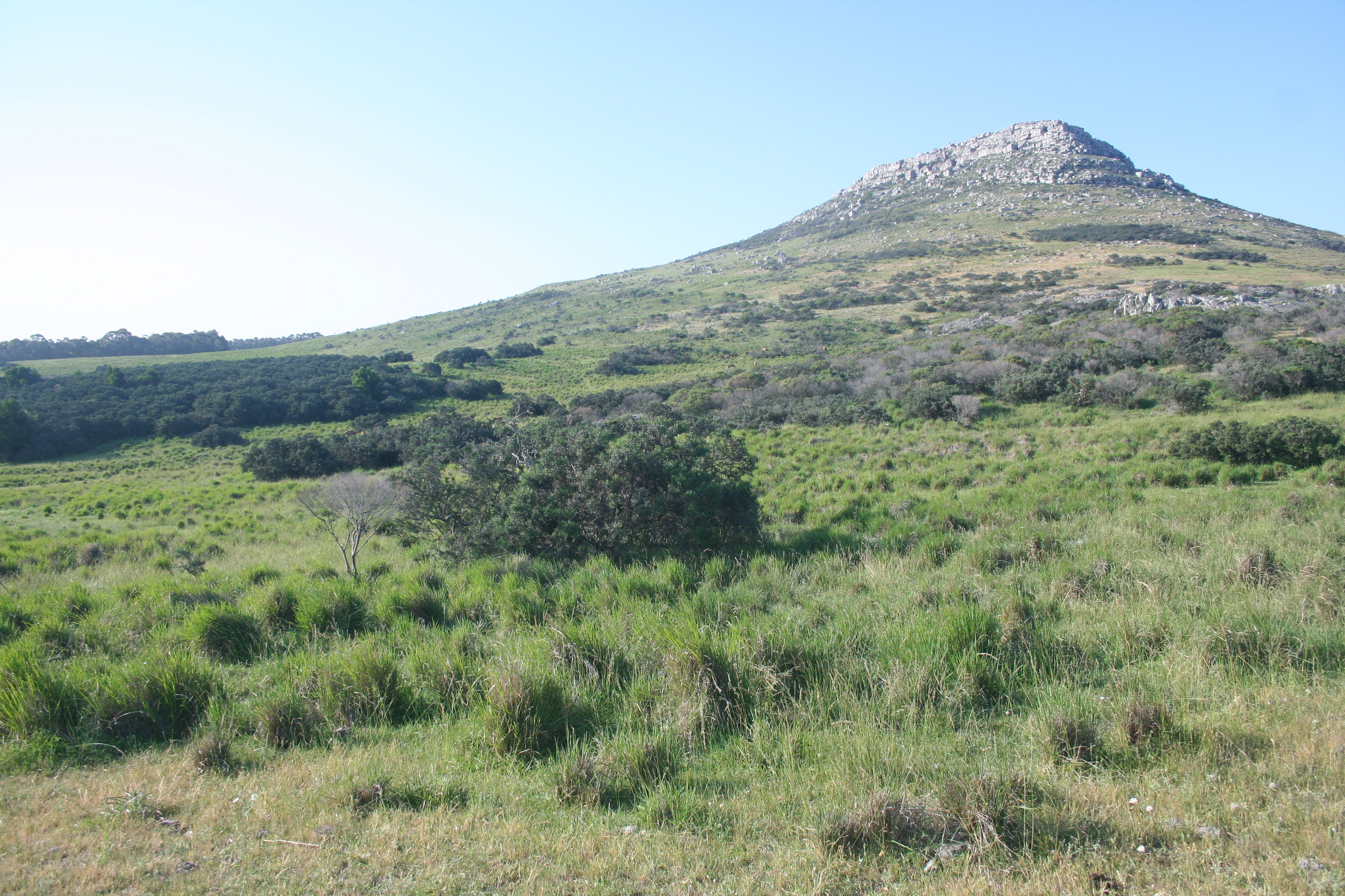 Sierras de Lobería