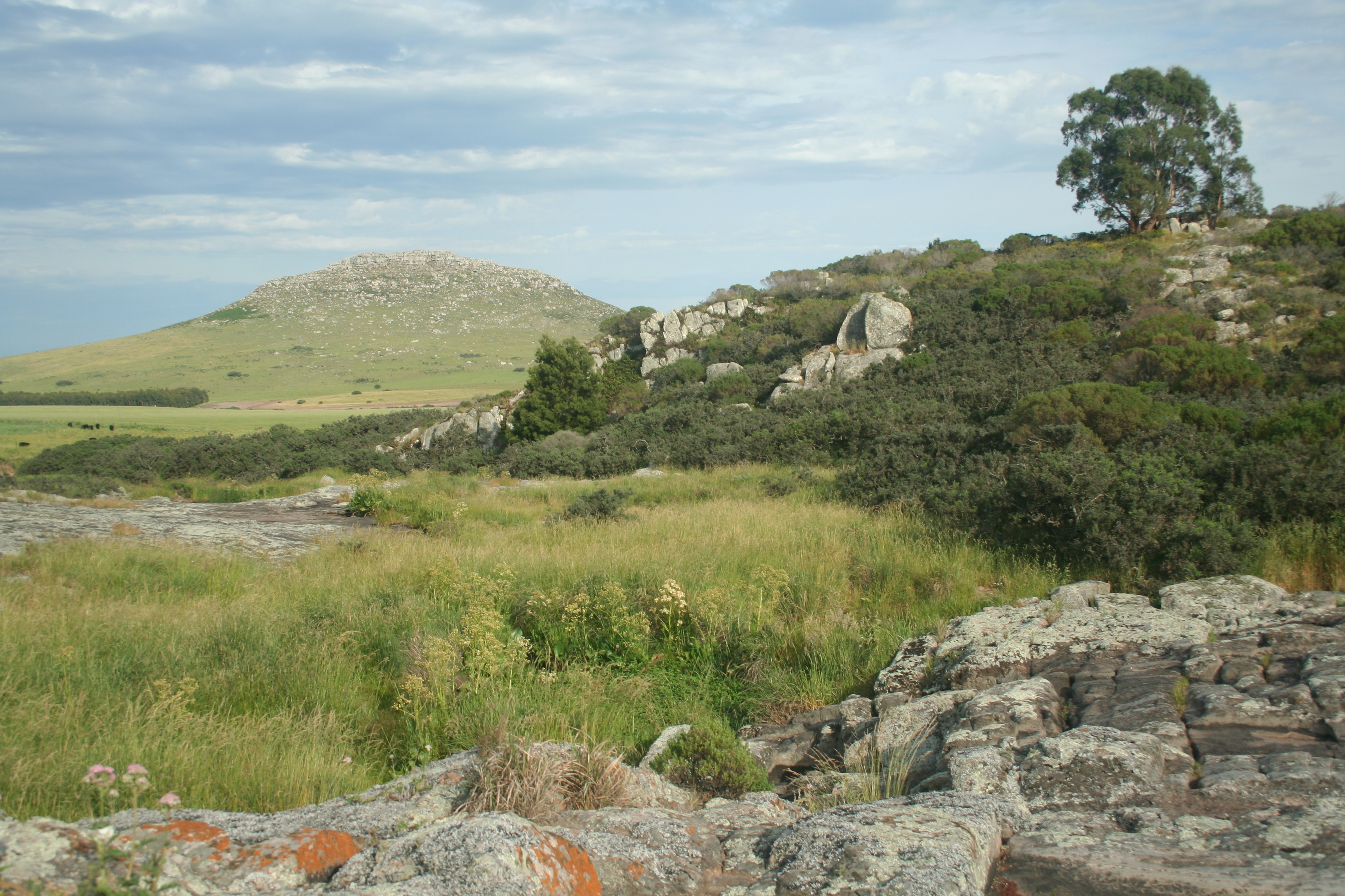Sierras de Lobería