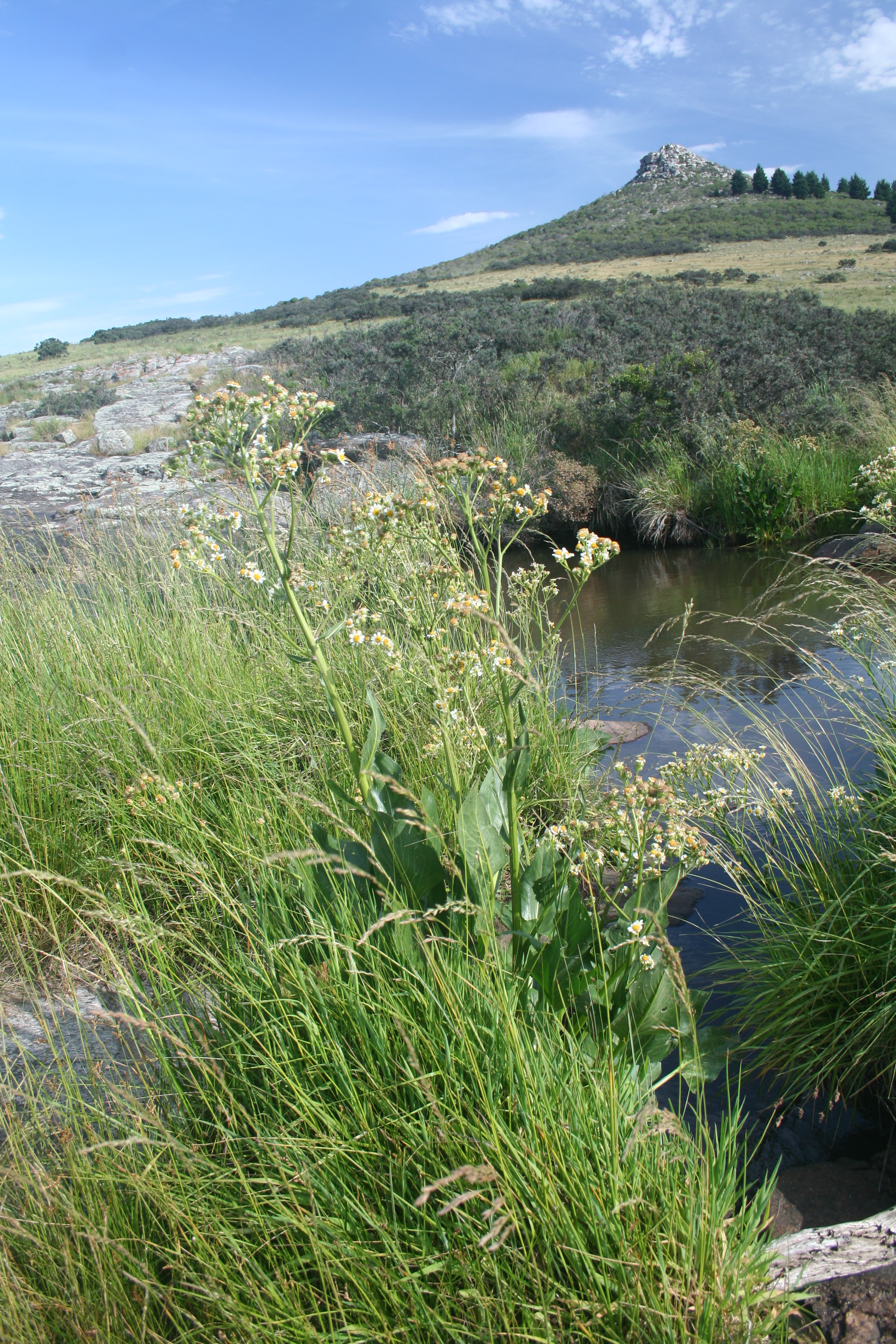 Sierras de Lobería