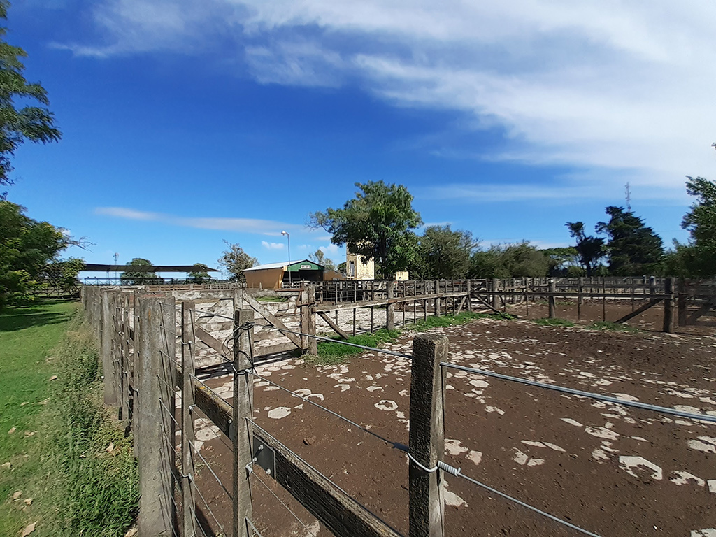 Predio de la Sociedad Rural de Lobería, año 2020
