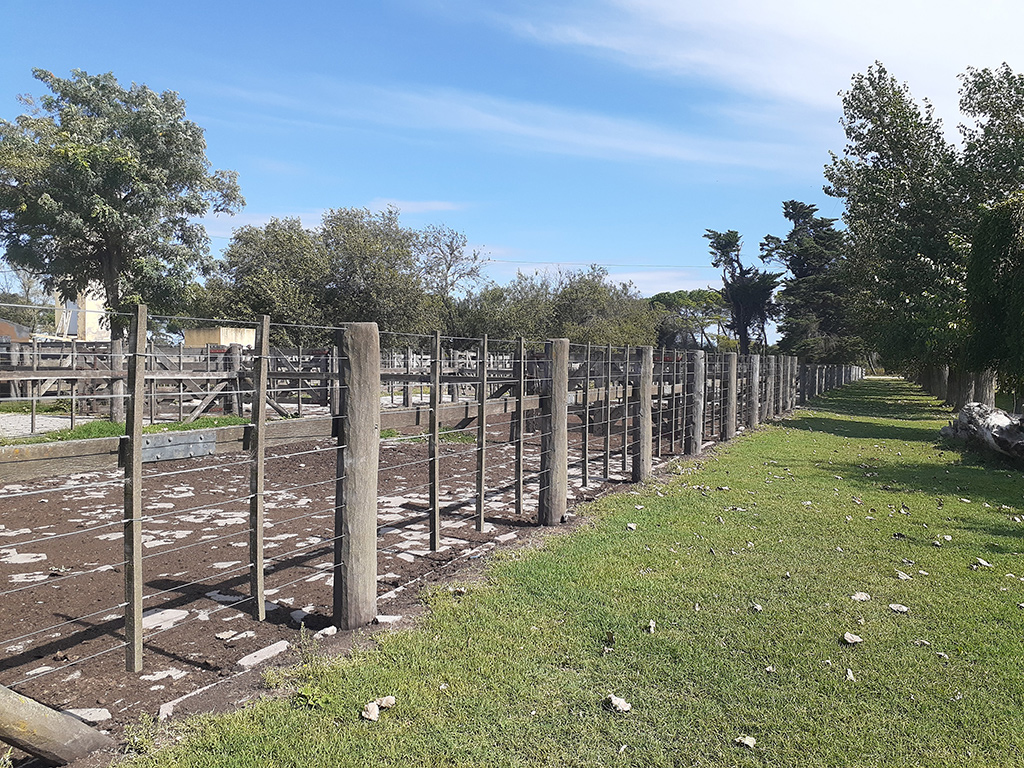 Predio de la Sociedad Rural de Lobería, año 2020
