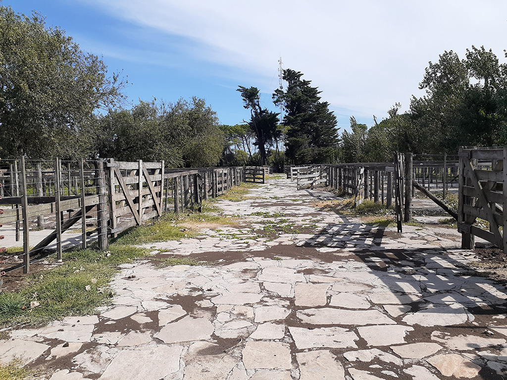 Predio de la Sociedad Rural de Lobería, año 2020